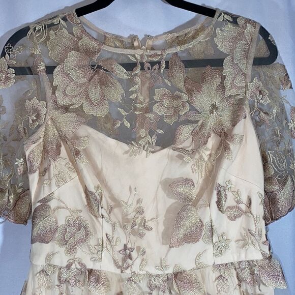 ADRIANNA PAPELL MOTHER OF THE BRIDE MAXI DRESS NWT TAUPE EMBELLISHED SIZE 4 - Picture 7 of 14